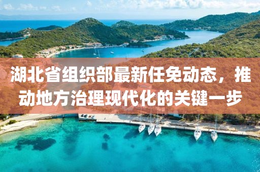 湖北省組織部最新任免動(dòng)態(tài)，推動(dòng)地方治理現(xiàn)代化的關(guān)鍵一步