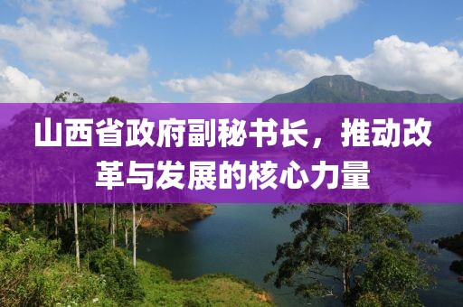 山西省政府副秘書長，推動改革與發(fā)展的核心力量