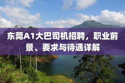 東莞A1大巴司機(jī)招聘，職業(yè)前景、要求與待遇詳解