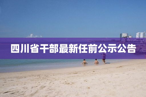 四川省干部最新任前公示公告