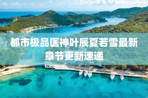 都市極品醫(yī)神葉辰夏若雪最新章節(jié)更新速遞