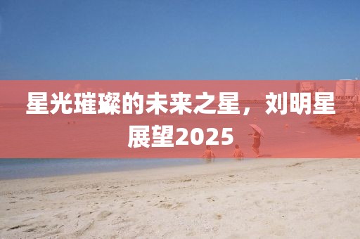 星光璀璨的未來之星，劉明星展望2025