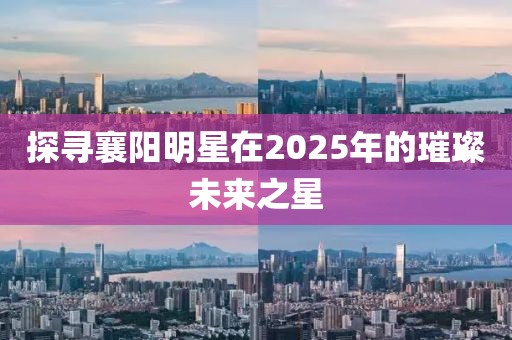 探尋襄陽明星在2025年的璀璨未來之星