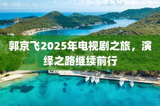 郭京飛2025年電視劇之旅，演繹之路繼續(xù)前行