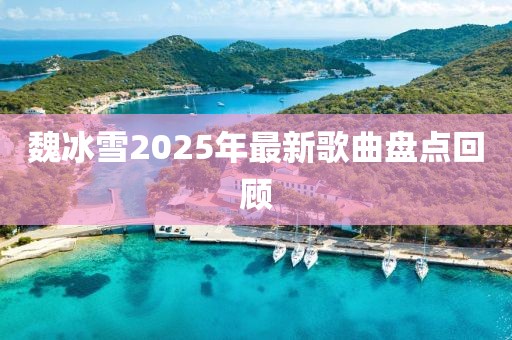 魏冰雪2025年最新歌曲盤點(diǎn)回顧