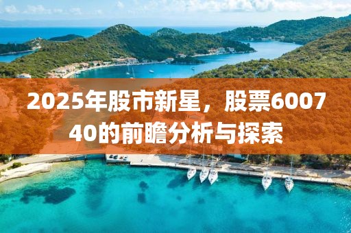 2025年股市新星，股票600740的前瞻分析與探索
