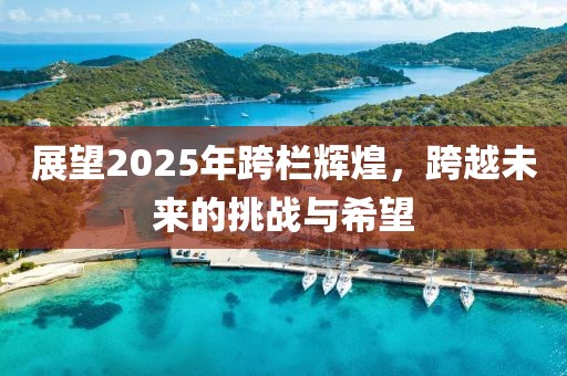 展望2025年跨欄輝煌，跨越未來的挑戰(zhàn)與希望