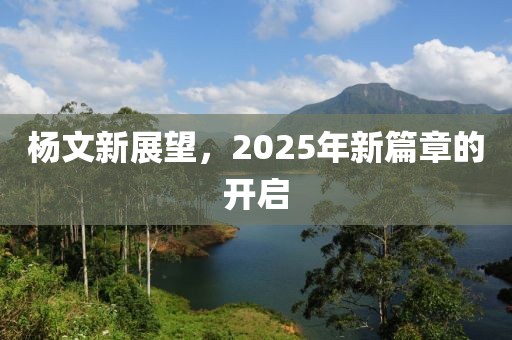 楊文新展望，2025年新篇章的開啟