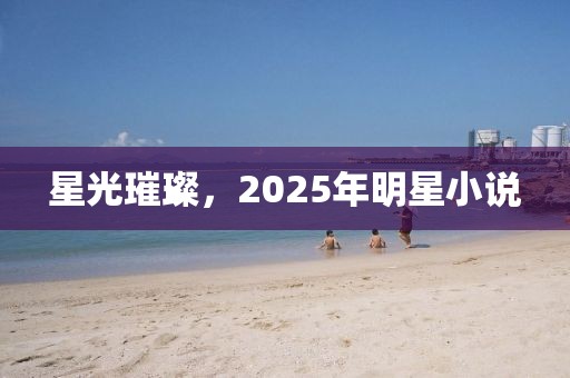 星光璀璨，2025年明星小說