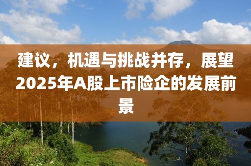 建議，機(jī)遇與挑戰(zhàn)并存，展望2025年A股上市險(xiǎn)企的發(fā)展前景