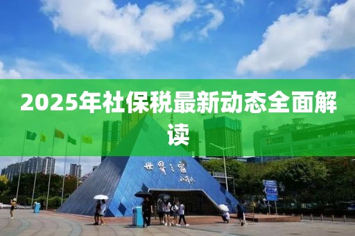 2025年社保稅最新動態(tài)全面解讀