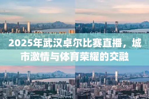 2025年武漢卓爾比賽直播，城市激情與體育榮耀的交融