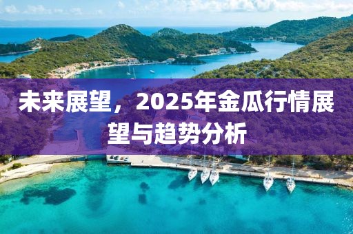 未來(lái)展望，2025年金瓜行情展望與趨勢(shì)分析