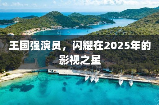 王國(guó)強(qiáng)演員，閃耀在2025年的影視之星