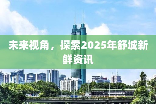 未來視角，探索2025年舒城新鮮資訊