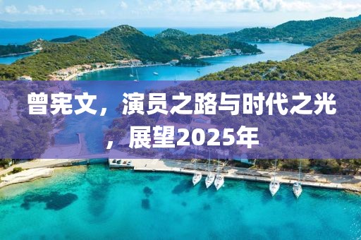 曾憲文，演員之路與時代之光，展望2025年