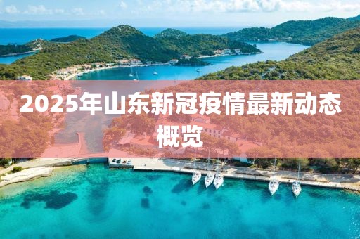 2025年山東新冠疫情最新動(dòng)態(tài)概覽
