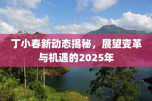 丁小春新動(dòng)態(tài)揭秘，展望變革與機(jī)遇的2025年