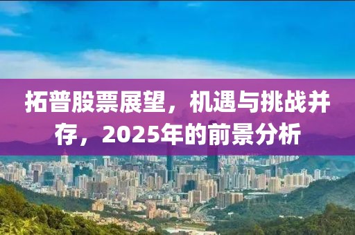 拓普股票展望，機遇與挑戰(zhàn)并存，2025年的前景分析