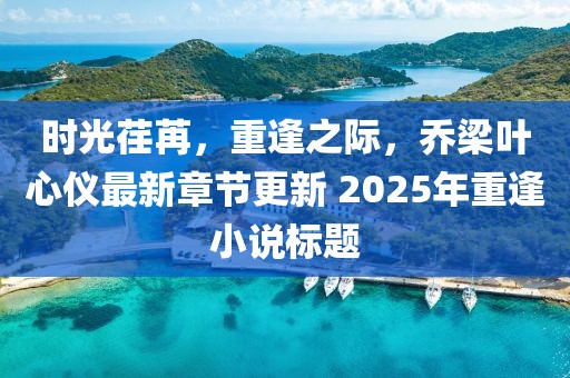 時(shí)光荏苒，重逢之際，喬梁葉心儀最新章節(jié)更新 2025年重逢小說(shuō)標(biāo)題