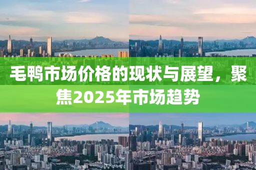 毛鴨市場價格的現(xiàn)狀與展望，聚焦2025年市場趨勢