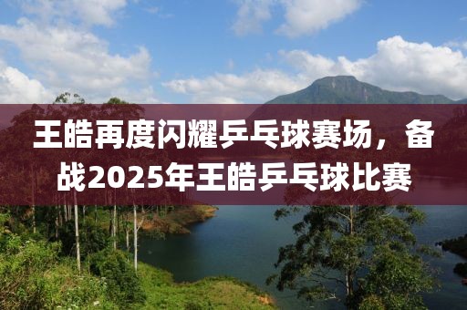王皓再度閃耀乒乓球賽場(chǎng)，備戰(zhàn)2025年王皓乒乓球比賽