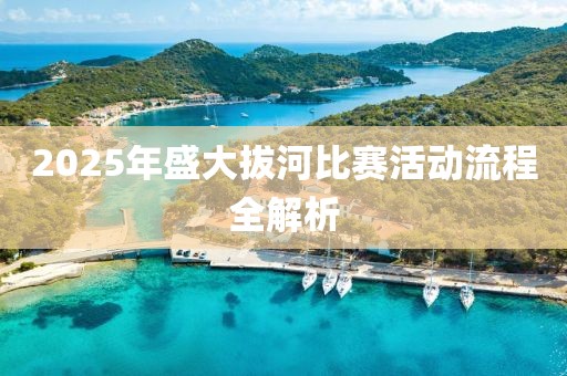 2025年盛大拔河比賽活動流程全解析