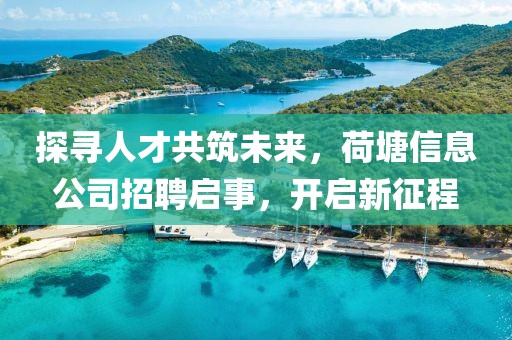 探尋人才共筑未來(lái)，荷塘信息公司招聘啟事，開(kāi)啟新征程