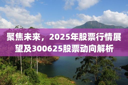 聚焦未來，2025年股票行情展望及300625股票動向解析
