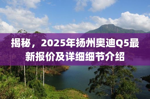 揭秘，2025年揚(yáng)州奧迪Q5最新報(bào)價(jià)及詳細(xì)細(xì)節(jié)介紹