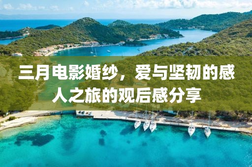 三月電影婚紗，愛與堅韌的感人之旅的觀后感分享