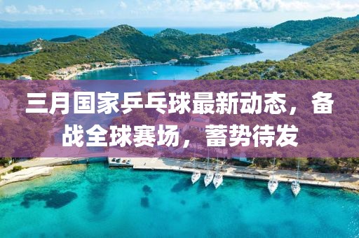 三月國家乒乓球最新動態(tài)，備戰(zhàn)全球賽場，蓄勢待發(fā)