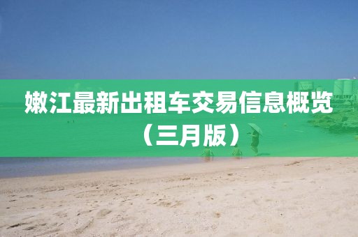 嫩江最新出租車交易信息概覽（三月版）