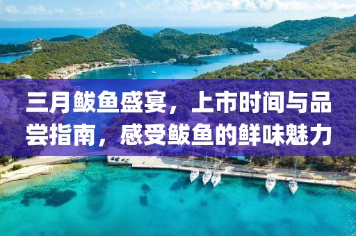 三月鲅魚盛宴，上市時(shí)間與品嘗指南，感受鲅魚的鮮味魅力