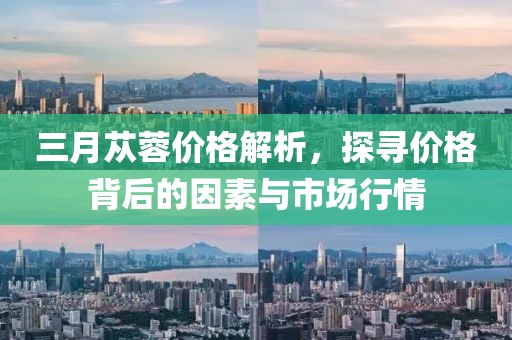 三月蓯蓉價格解析，探尋價格背后的因素與市場行情