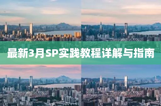 最新3月SP實(shí)踐教程詳解與指南