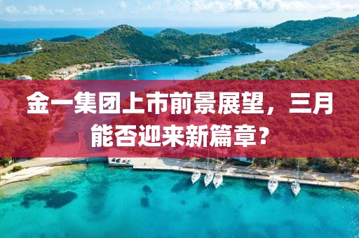 金一集團(tuán)上市前景展望，三月能否迎來新篇章？