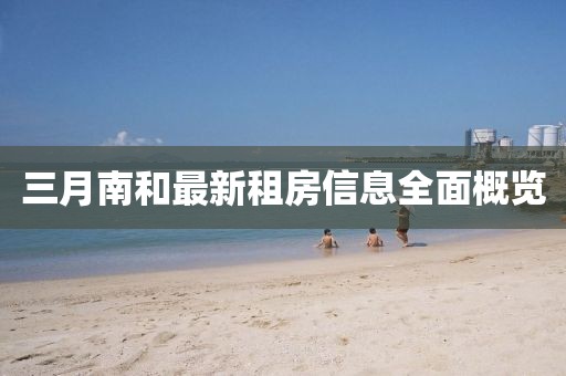 三月南和最新租房信息全面概覽