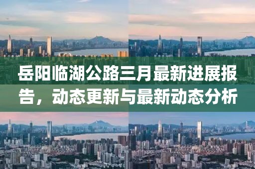 岳陽臨湖公路三月最新進展報告，動態(tài)更新與最新動態(tài)分析