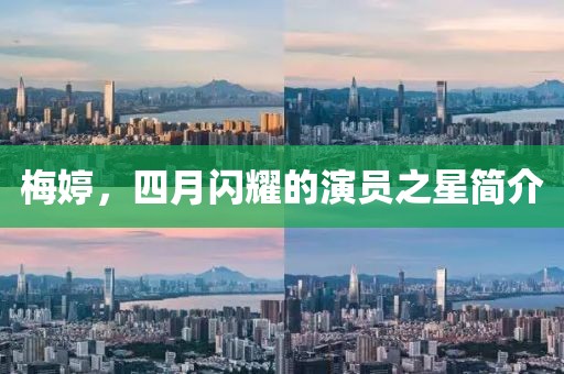 梅婷，四月閃耀的演員之星簡介