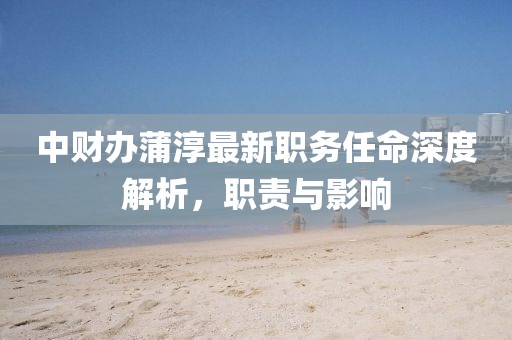 中財(cái)辦蒲淳最新職務(wù)任命深度解析，職責(zé)與影響