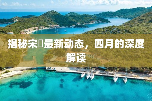 揭秘宋喆最新動態(tài)，四月的深度解讀