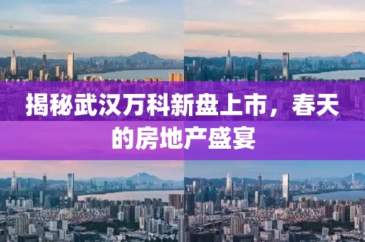 揭秘武漢萬(wàn)科新盤(pán)上市，春天的房地產(chǎn)盛宴