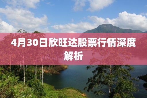 4月30日欣旺達(dá)股票行情深度解析