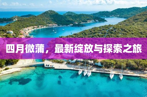 四月微蒲，最新綻放與探索之旅