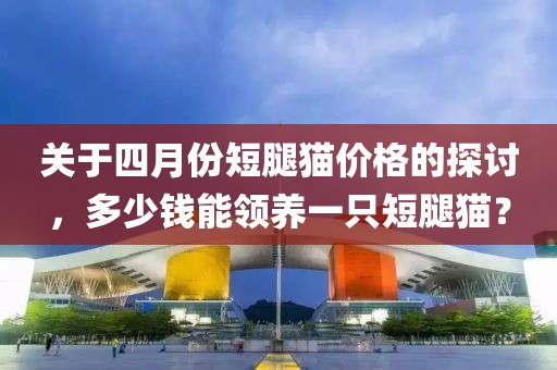 關(guān)于四月份短腿貓價(jià)格的探討，多少錢(qián)能領(lǐng)養(yǎng)一只短腿貓？