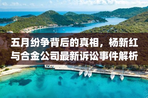 五月紛爭背后的真相，楊新紅與合金公司最新訴訟事件解析