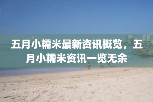 五月小糯米最新資訊概覽，五月小糯米資訊一覽無余