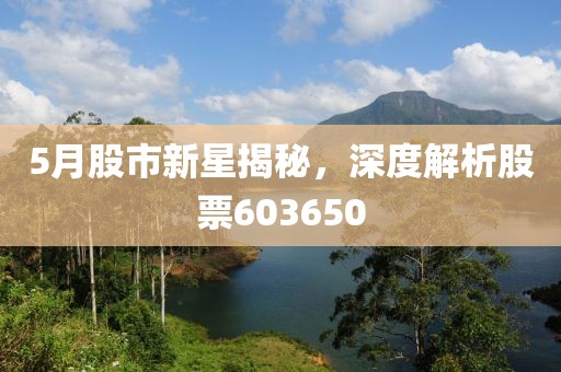 5月股市新星揭秘，深度解析股票603650