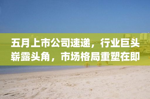 五月上市公司速遞，行業(yè)巨頭嶄露頭角，市場(chǎng)格局重塑在即